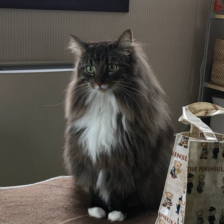 4951fc24 abe9 44f9 aa48 8ff94e16c452