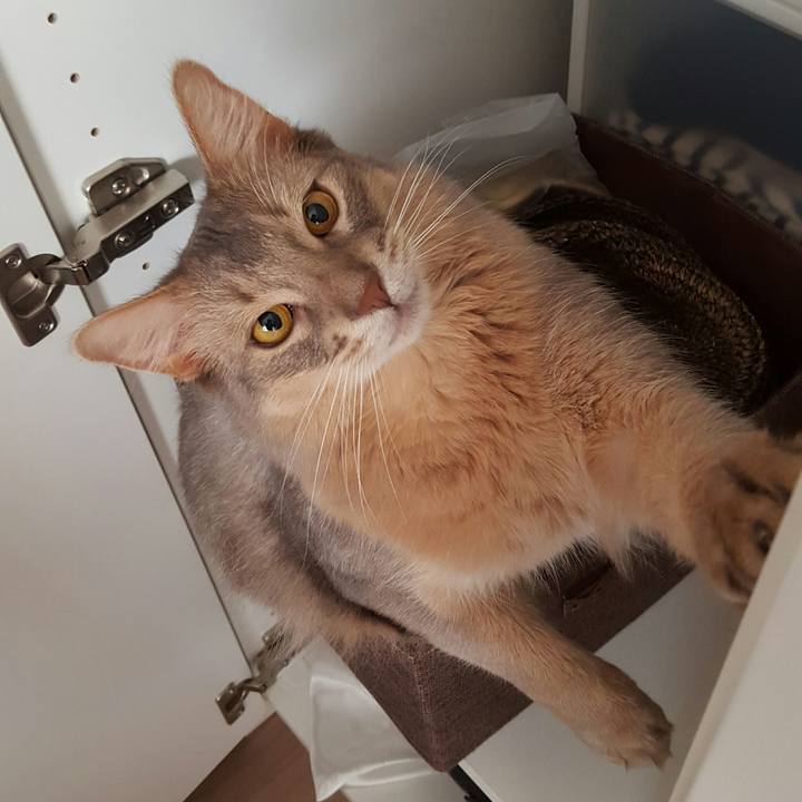 49527bd4 5834 40b1 910d be59c80ee87f