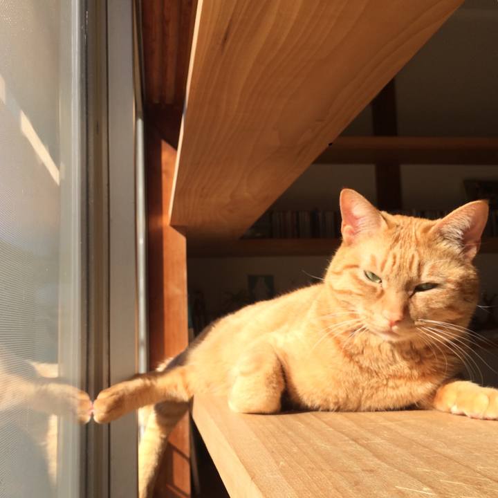 4953e310 499d 4074 896c 22f061cc01e7