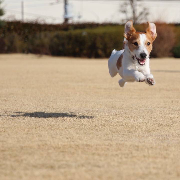 495425d0 b36c 48ca b2d2 17d58431fb4b