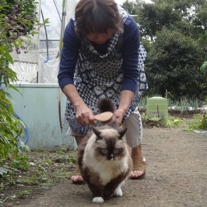 49542912 df85 4bb2 910a d7082e0ed705