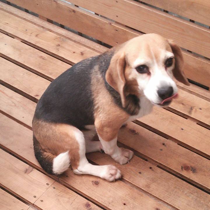 4954abd5 b947 42ac b0f0 58f00e7f62cb