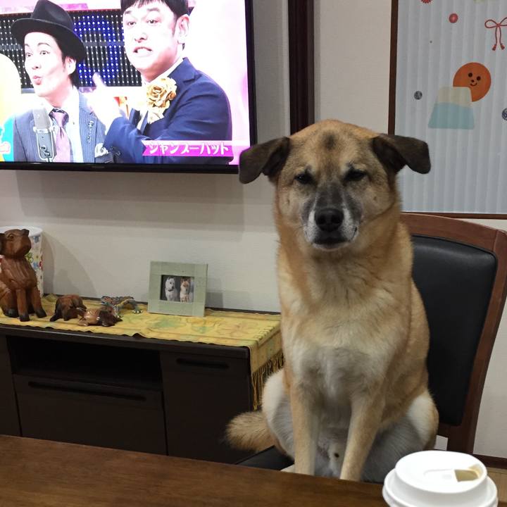 4954d6b0 65e1 4aab ac72 3f6096b35a87