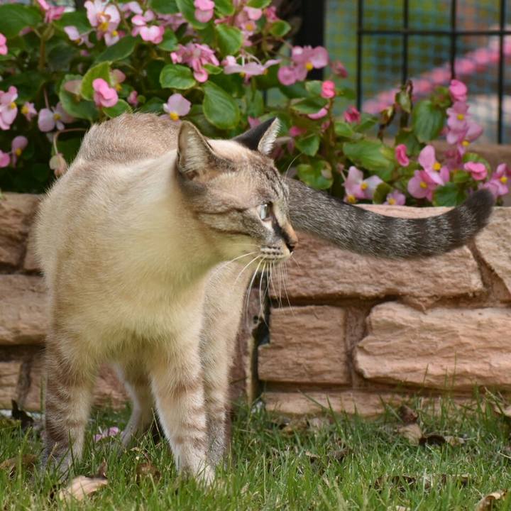 49559591 de71 4148 a11c 9af74dbc582d