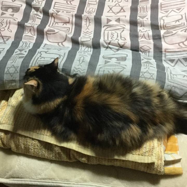 4955c6e6 e6d0 45b7 87bd b0dc662c08f7