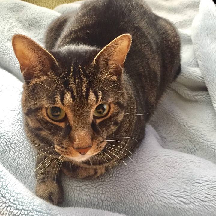 4955d4fc 0a61 4a4d 8aaf 27bd2e5ef49d