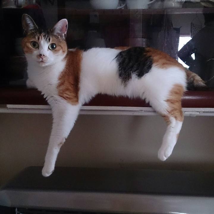 49563593 df64 4cbc 89d3 0837a896c93d