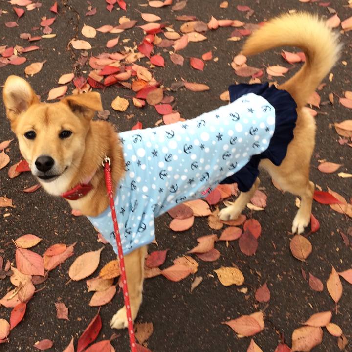 49566cea a217 4319 9733 307fc7f6ad73