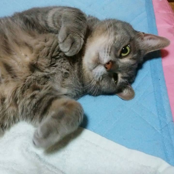 49566ec6 f41c 4240 a5ef a4a234269f09