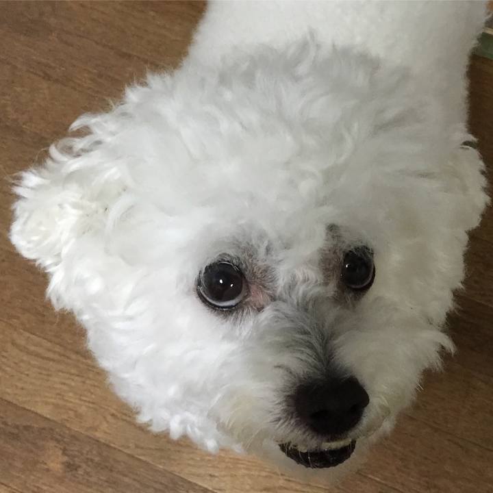 4956acaa f1e7 487b ad4a 0c1349708084