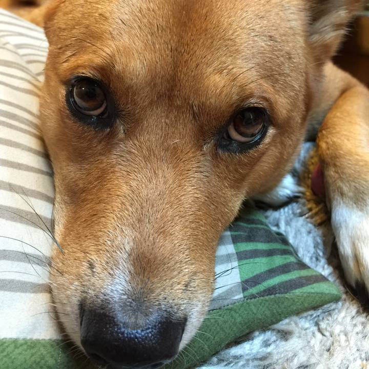 49573cae 7bff 4c4e 8d1c e123d183c00f