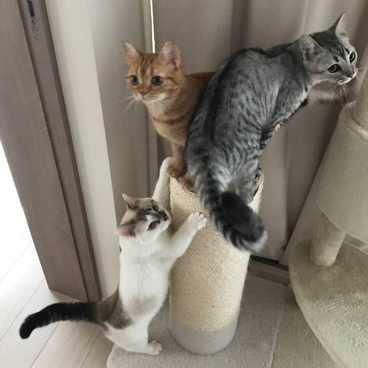 495767a7 f1e8 496b b971 f7033bccc676