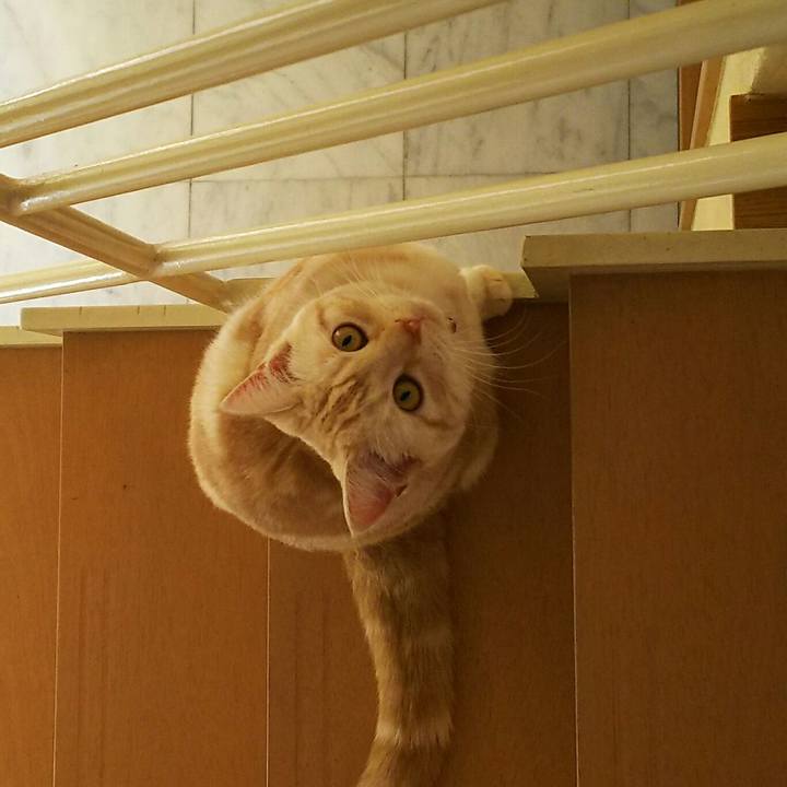 49582a2e 6313 4de3 a43b b73500393816