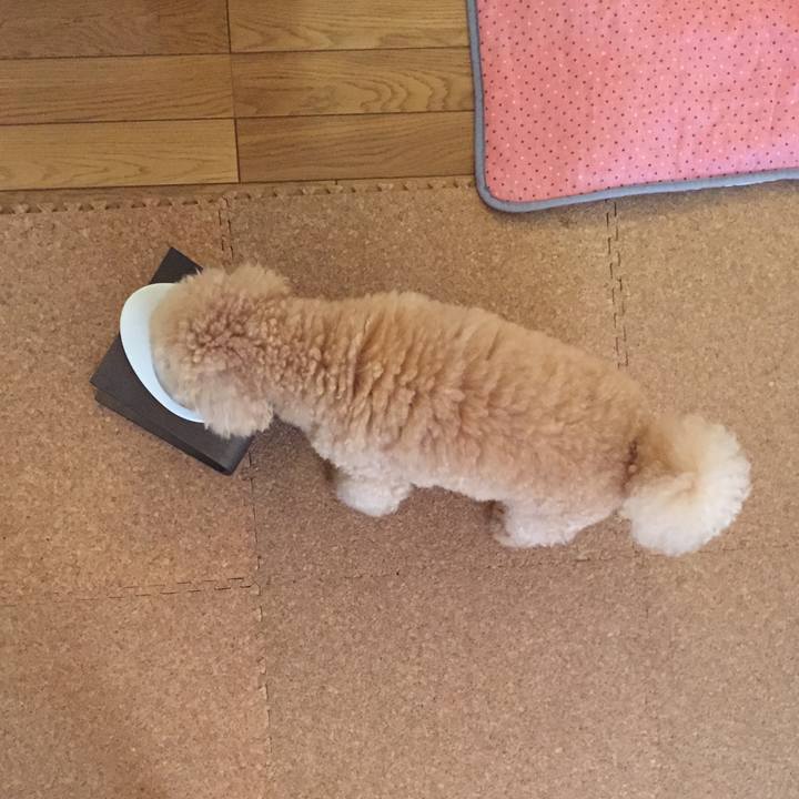 49586ef5 1de1 4922 873c 502535042777