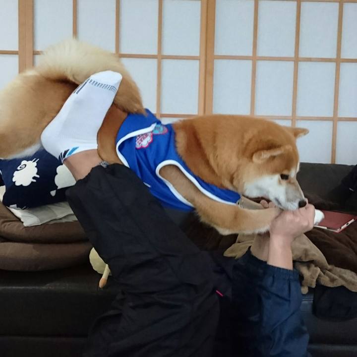 4959062e 4dac 4493 961d 6530d2e3cf2e