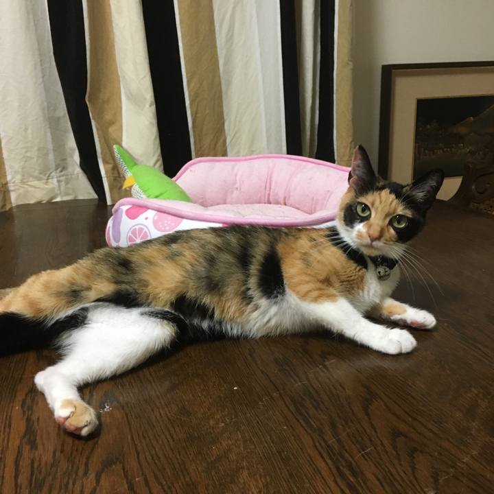 49592ef2 e06f 4167 91a5 e05db9fce87e