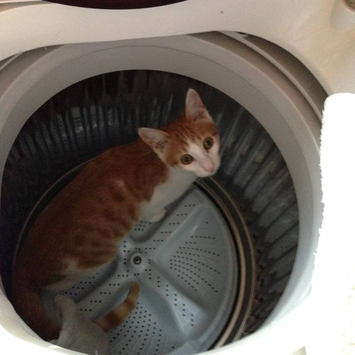 49598bc6 7358 491e b0f7 e9de84c15e0c