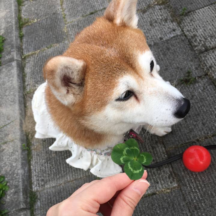 4959a95e c084 48a2 82eb d51c40a0ea34