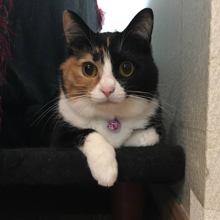 4959bd78 6179 4a0a adfc c60dcd0c13ad