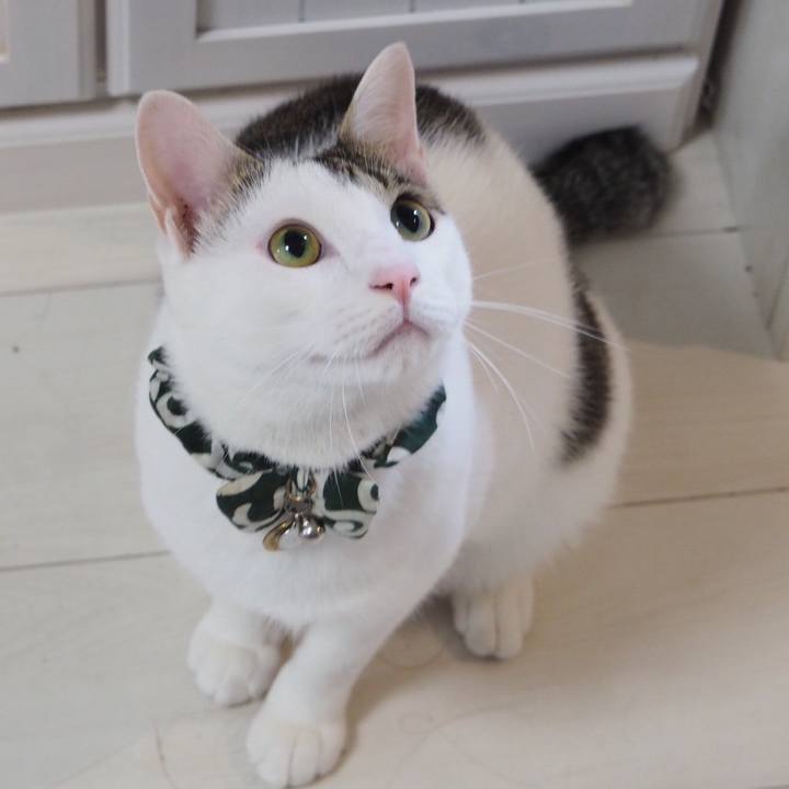 495a5e2d b035 4877 91b6 6d43375e69e0