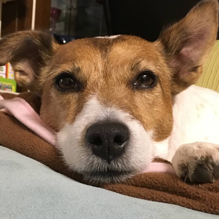 495aa949 8e98 4cf4 b4dc 22ece76e28bc