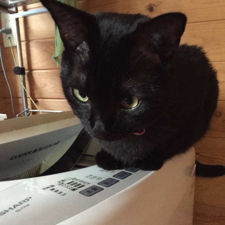 495aca01 4a7d 4f8a a664 0e26fb711d7c