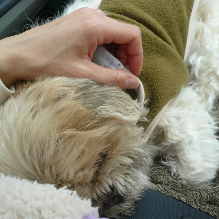 495b0d03 3855 4d3f b49a 2cf68402e20a