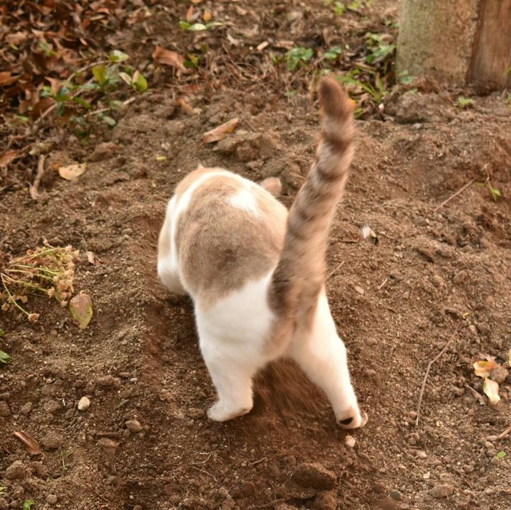 495b15bf e3d7 46d8 abbb eb15253db557