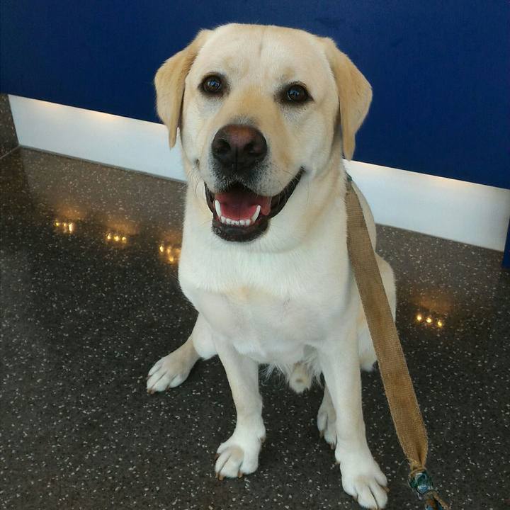 495c76bb d68e 4b04 b835 b18eca9e2f62