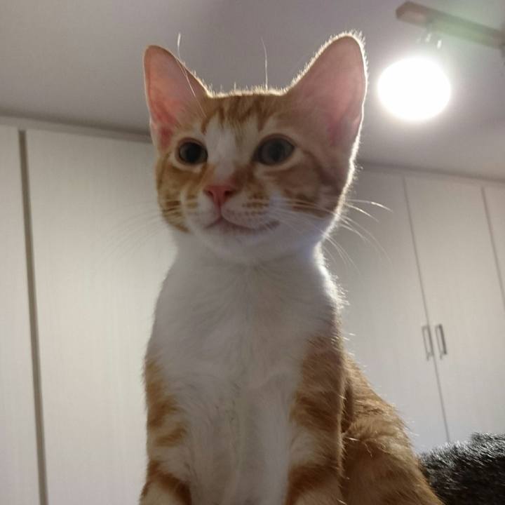 495cab76 18be 467f b829 d7060952fd73