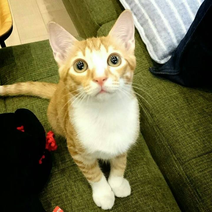 495cb601 1b84 4401 b871 9e73f75b41e6