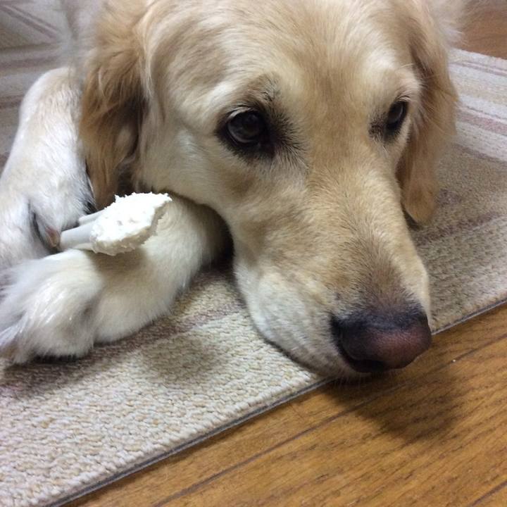 495cc6f1 2676 4131 ada7 4ea3e0ff209e