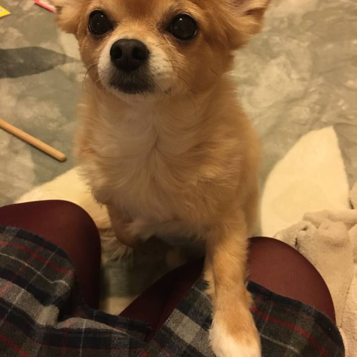 495e0847 f697 47d3 996a 8716b71b27e5