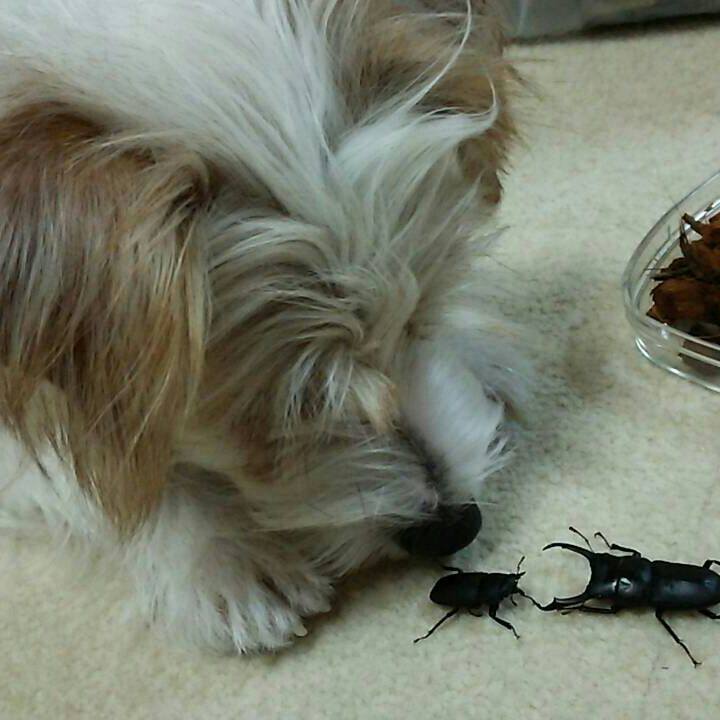 495fe8d5 02c6 4364 a93a e919541d07b6