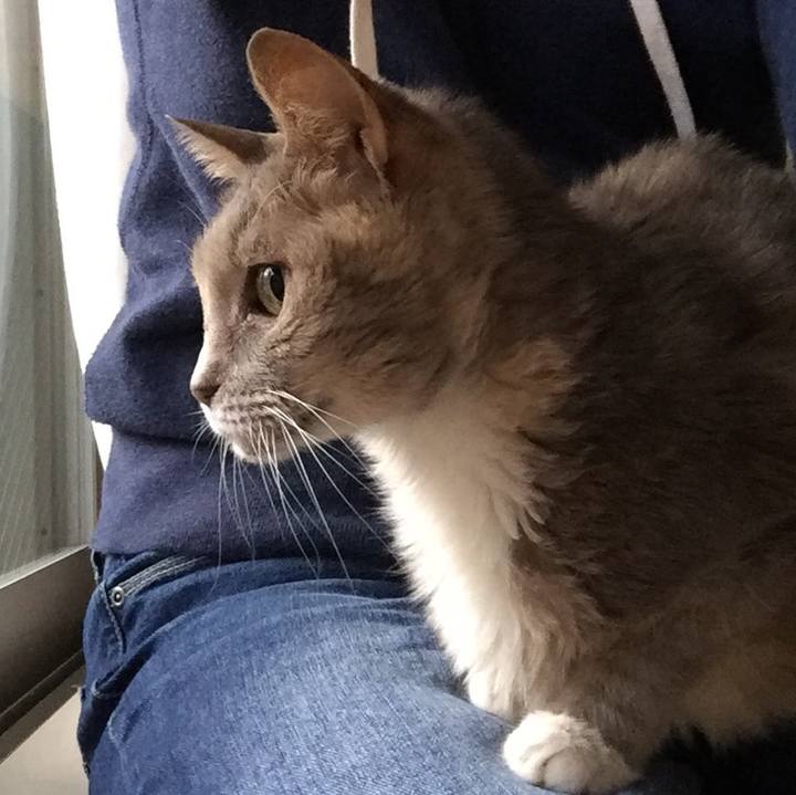 49604c56 4ed1 4b04 968a 7fad09cfe9aa