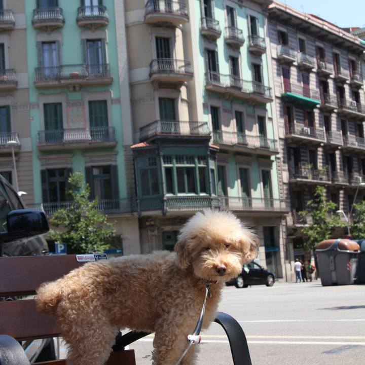 49614f80 865f 4b15 beb4 b817224eb1c0