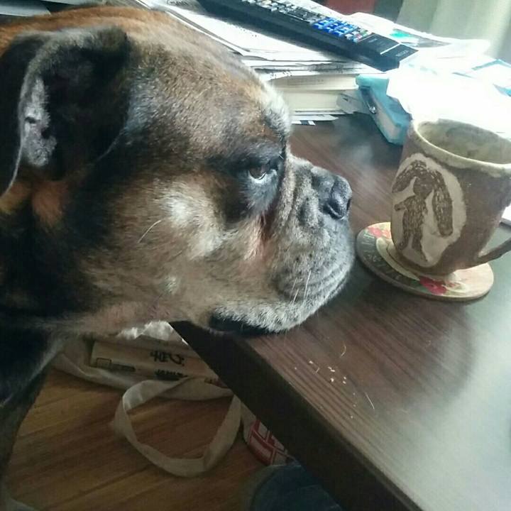 4961675b 0c62 48b4 8a8f 4b6e47504c5f