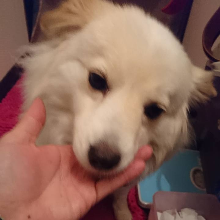 4961b30b 172d 48a2 ba54 94ea12ab678b