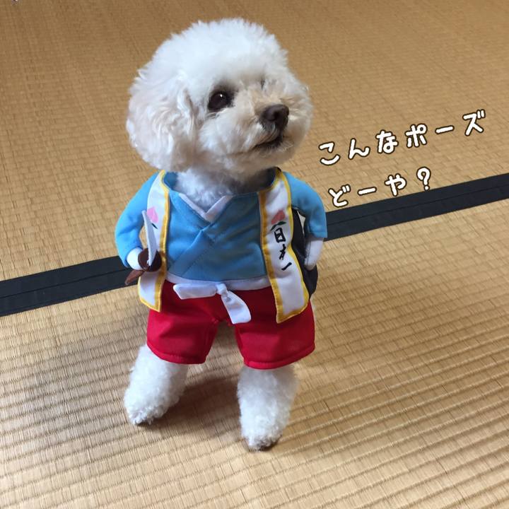 4961d762 6509 4219 89e6 1ef04a44f94d