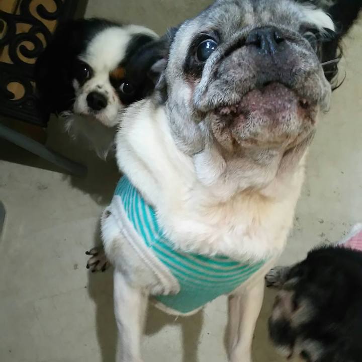 49621a3b 4de9 4ec7 8e46 e09b3a4546a0