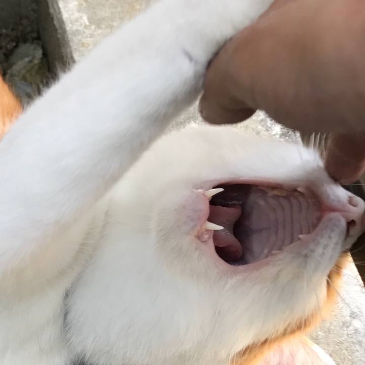 496294ed 5cb1 4d25 ba11 f8c481fe9982