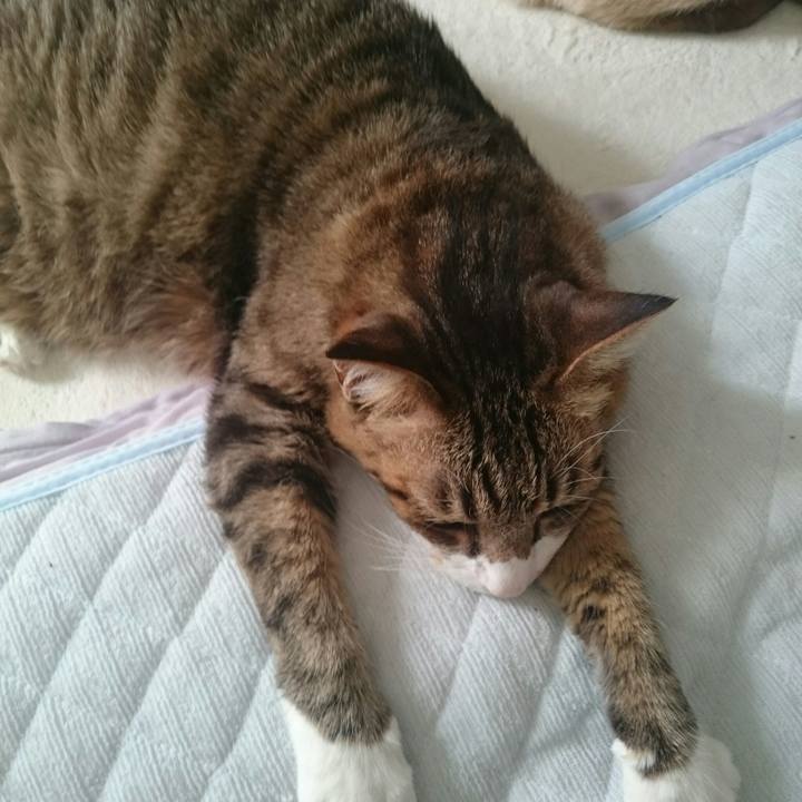 49629c14 8f11 4d39 be6a f15e64cd0298