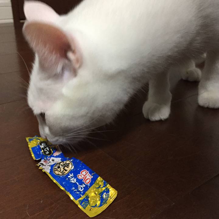 4962d12f 1e50 4cf9 80a5 ed2b0e937ba6