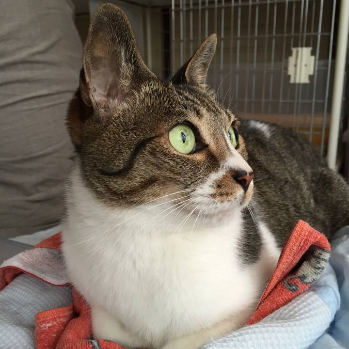 4963036a d48a 48d9 8a62 7c9570ba0422