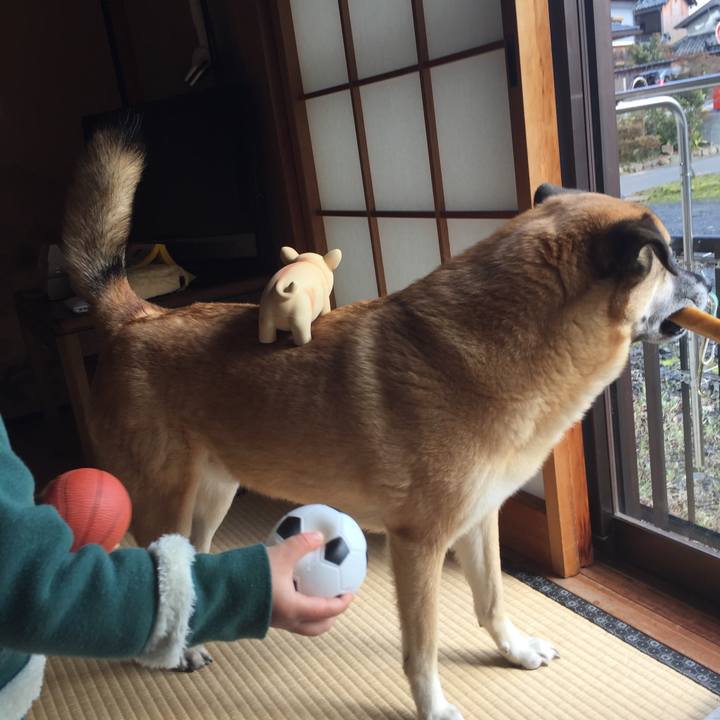 49639c1e 8a58 4e5e b583 06ef2ac0097a