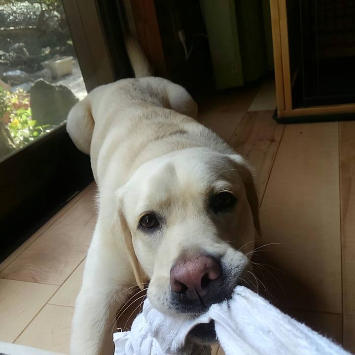 49639c80 053c 4783 a85a 23204a3d795f