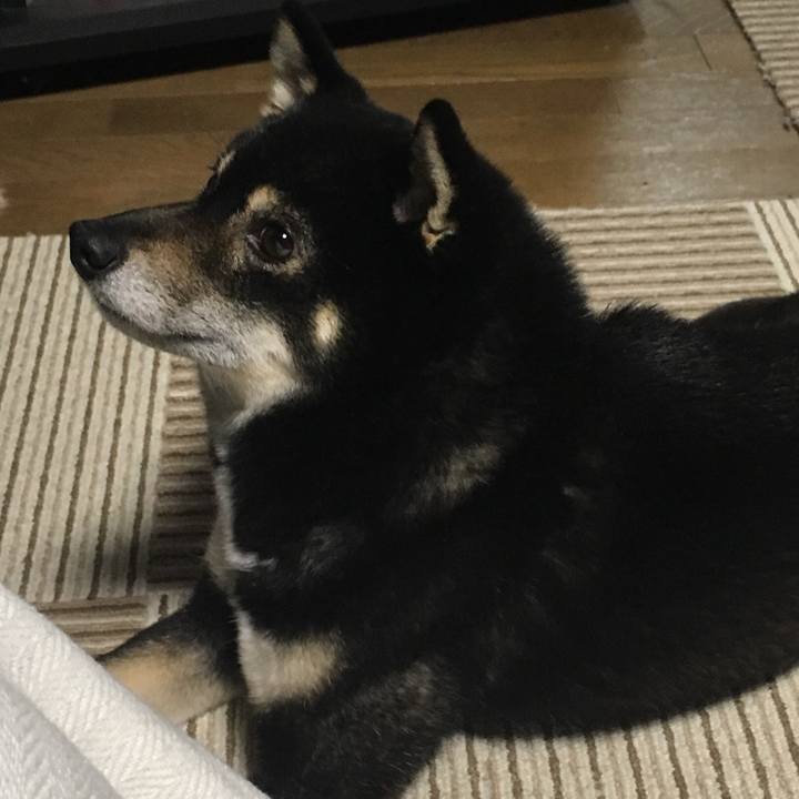 496525d8 157f 45df afe0 be827f99fd6f