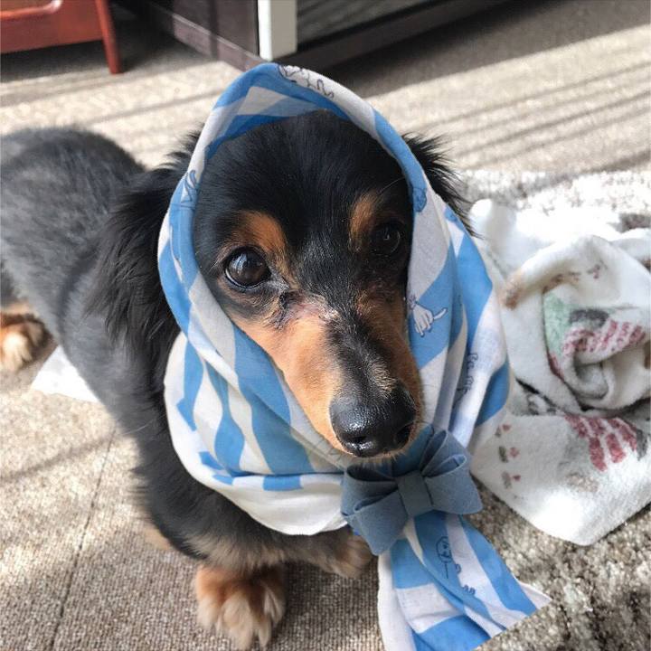 49657c27 4a17 4d8c 829d e05653a0f8d8