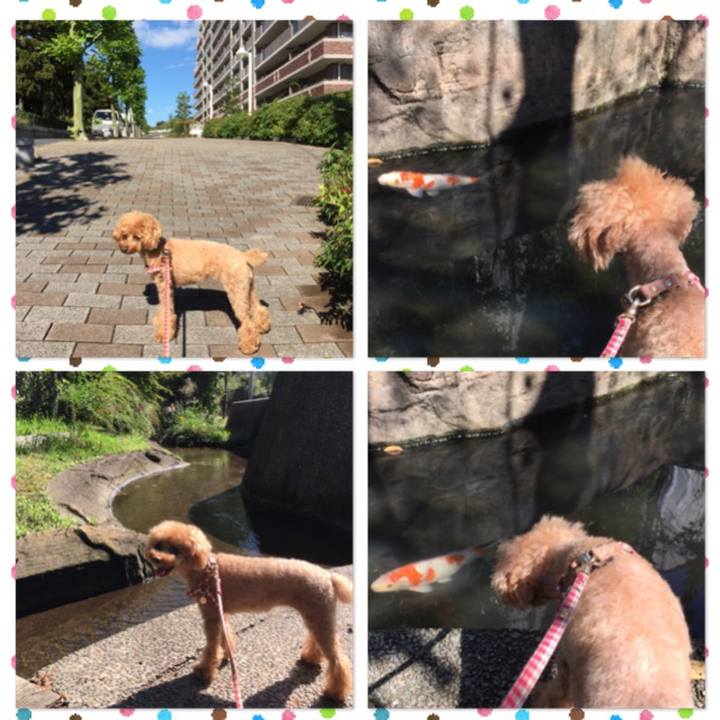 49665269 5948 48aa 94e9 c9e79ed947f5