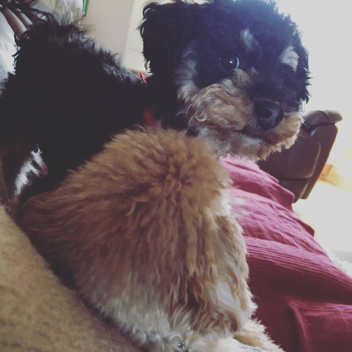 49669768 f9b5 4379 9037 33e224bec482